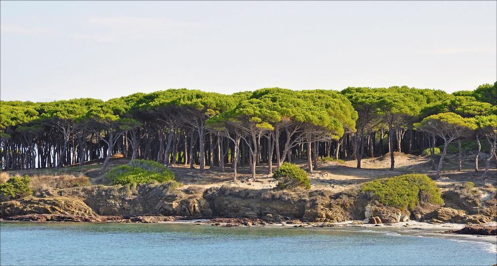 Appartamenti Le Magnolie Budoni Exterior foto