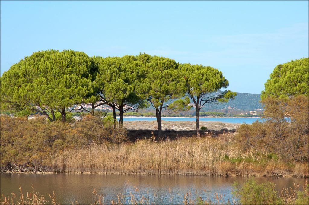 Appartamenti Le Magnolie Budoni Exterior foto