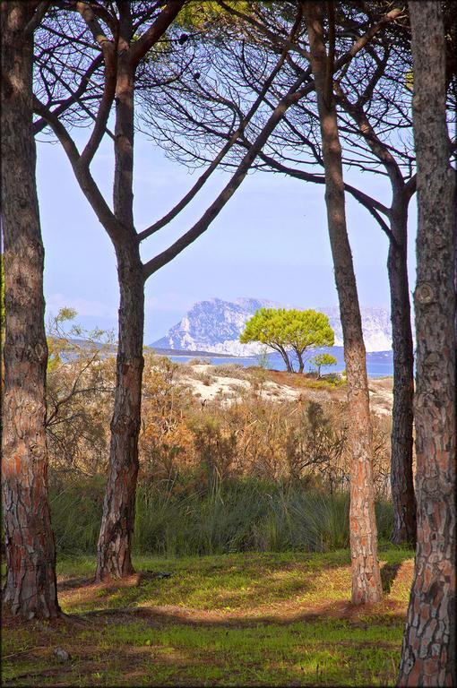 Appartamenti Le Magnolie Budoni Exterior foto